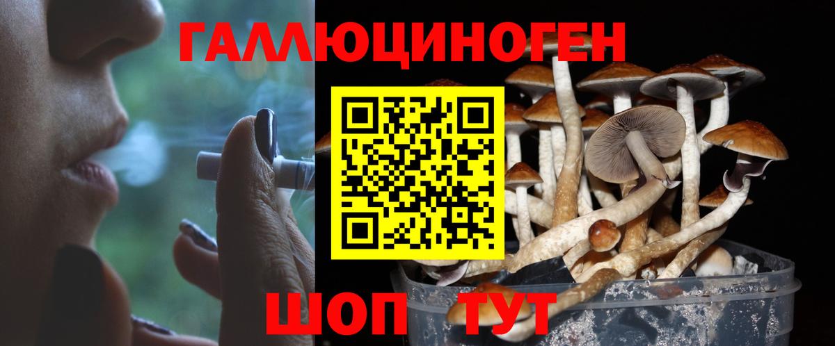 Галлюциногенные грибы ЛСД  Вход с VPN  Владикавказ 